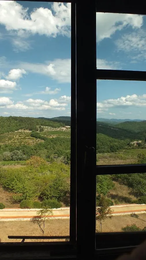 Palazzo Bianciardi Attico Apartment Castellina in Chianti
