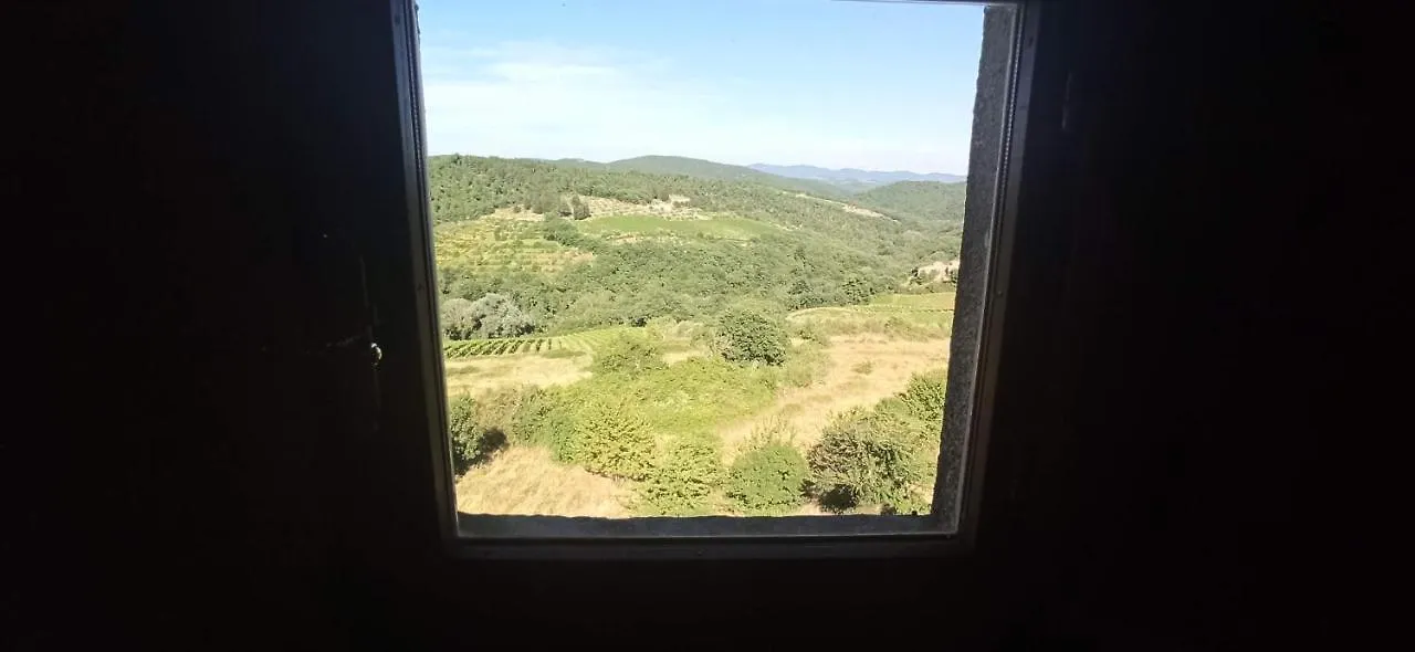 Palazzo Bianciardi Attico Apartment Castellina in Chianti